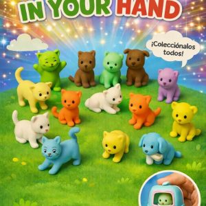 PHOTO 2026 02 26 08 54 43