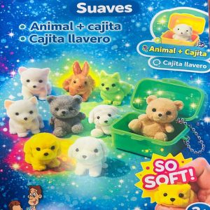 PHOTO 2026 02 26 08 54 43 (6)